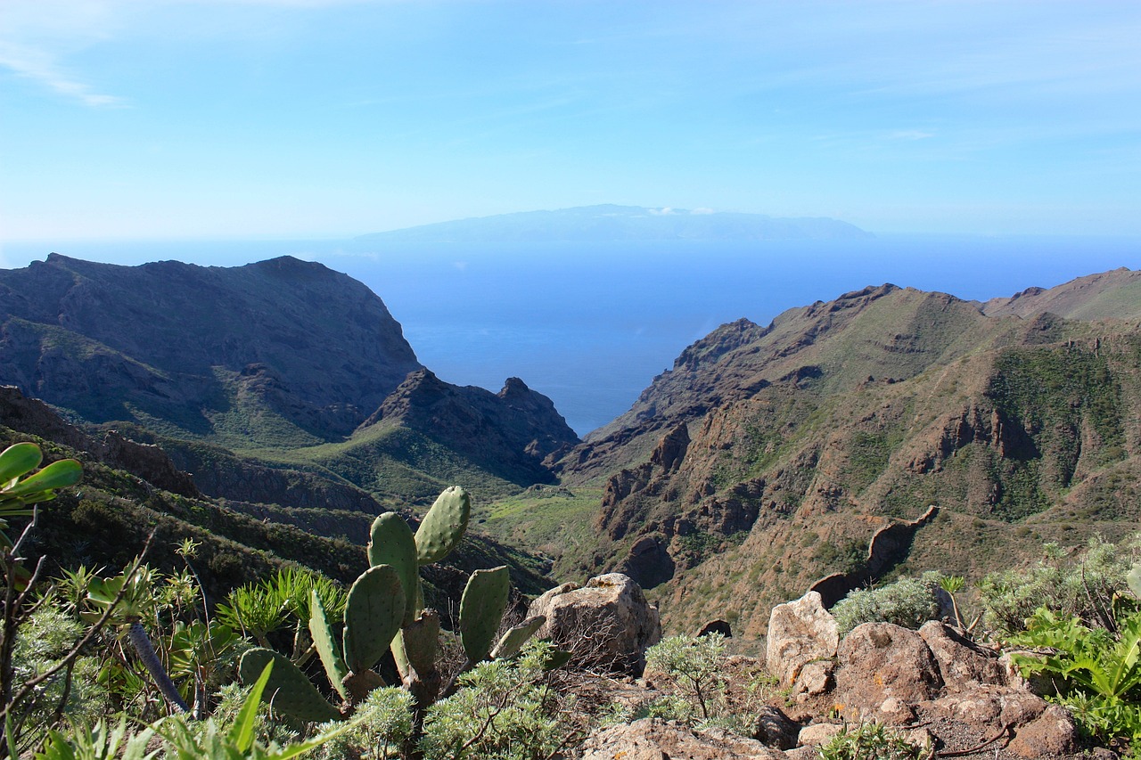 la-gomera-239156_1280 (1)