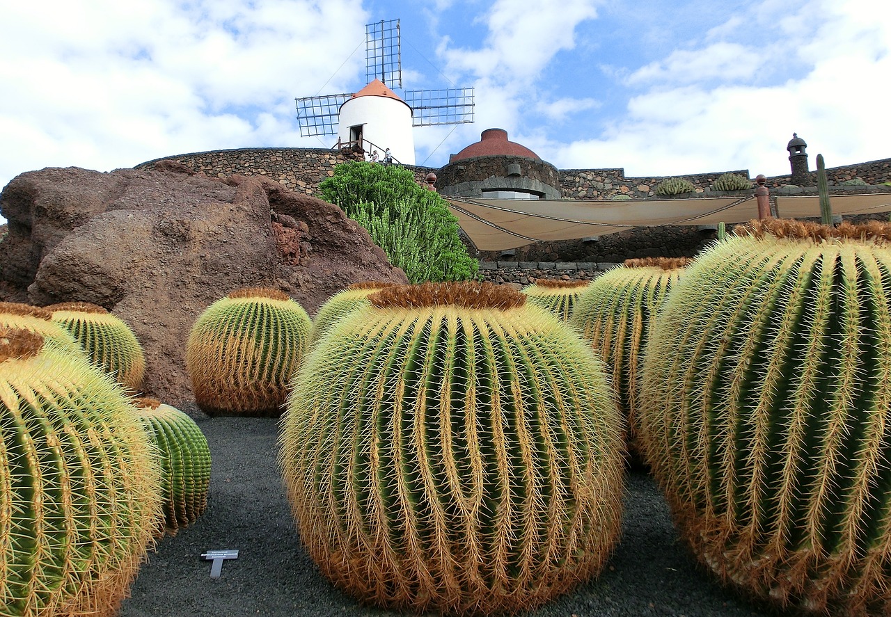 lanzarote-211043_1280 (2)