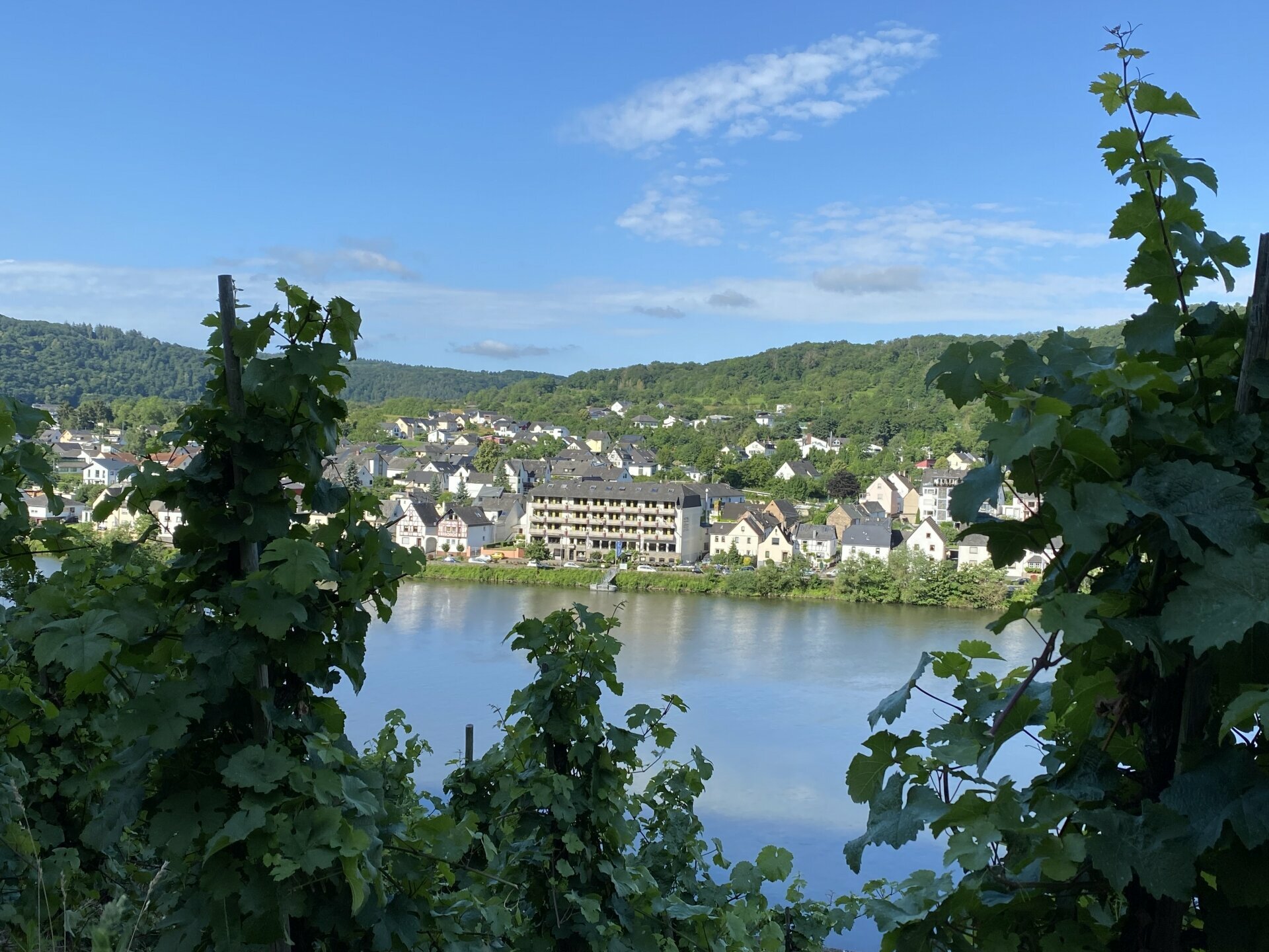 Weinfest an der Mosel - 6 Tage