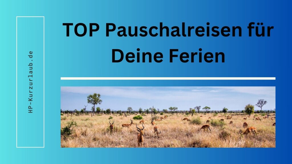 12_TOP_Pauschalreisen_für_Deine_Ferien