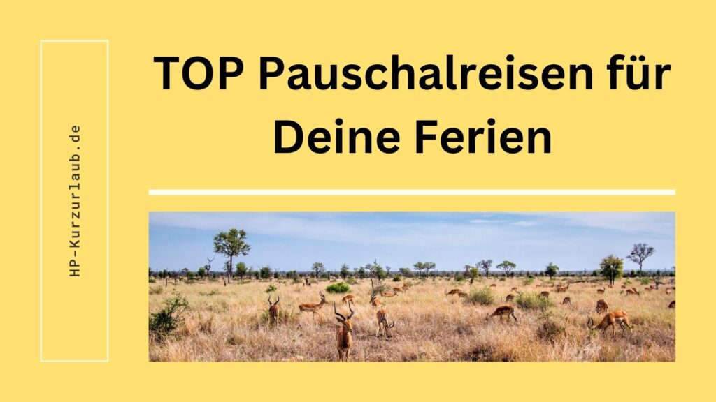 1_TOP_Pauschalreisen_für_Deine_Ferien