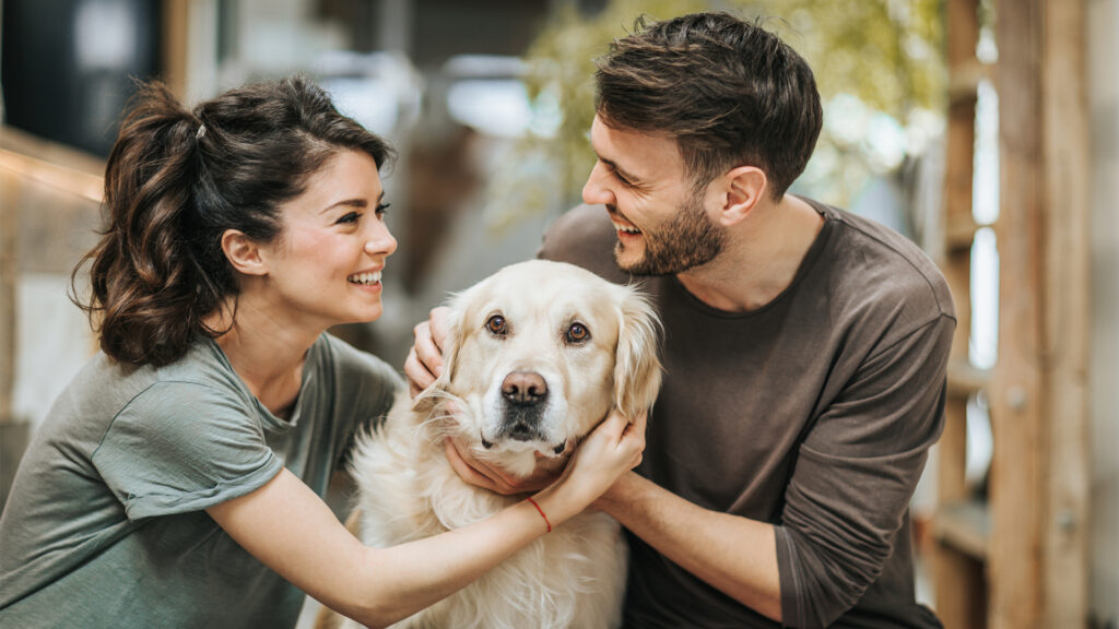 Young happy couple communicating while cuddling their golden retriever at home.