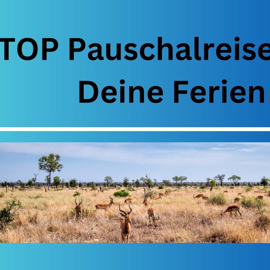 12_TOP_Pauschalreisen_für_Deine_Ferien