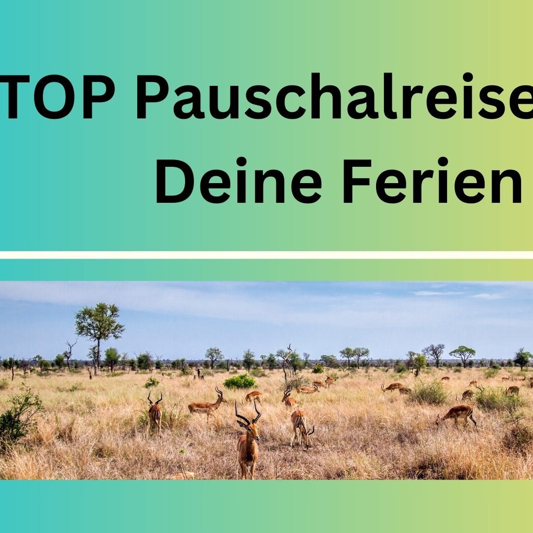 15_TOP_Pauschalreisen_für_Deine_Ferien