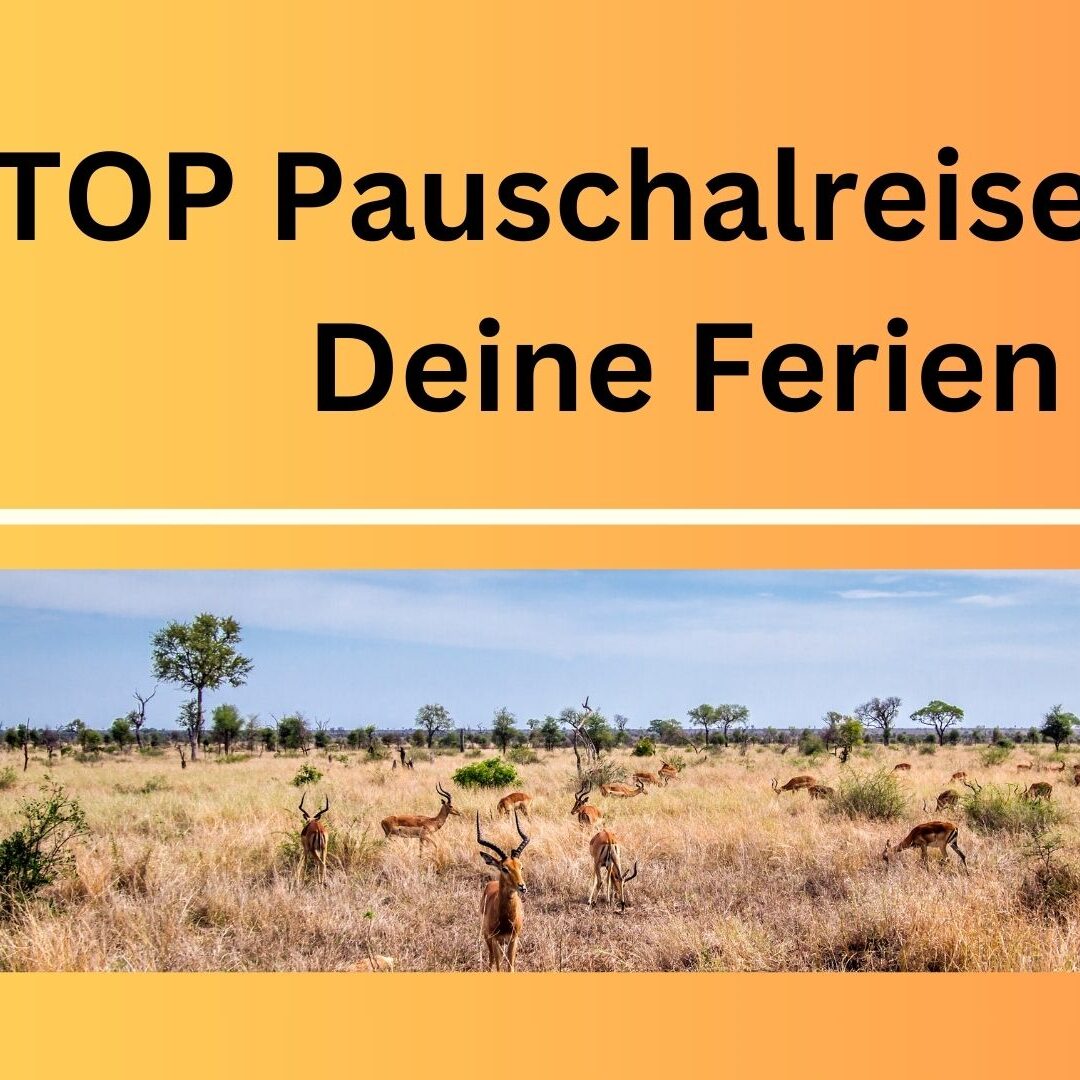 16_TOP_Pauschalreisen_für_Deine_Ferien