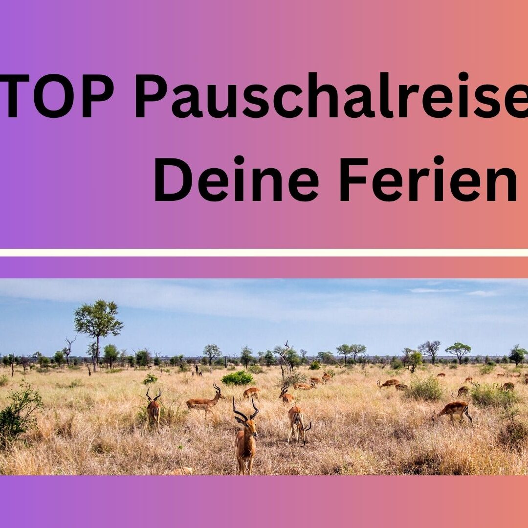 18_TOP_Pauschalreisen_für_Deine_Ferien