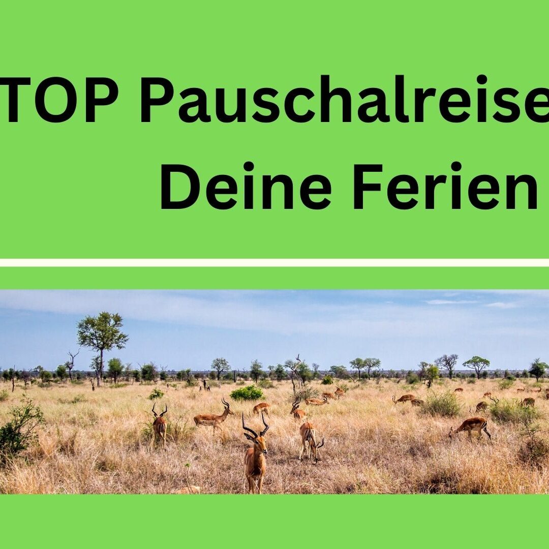 19_TOP_Pauschalreisen_für_Deine_Ferien