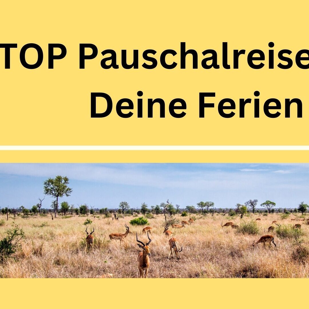 1_TOP_Pauschalreisen_für_Deine_Ferien