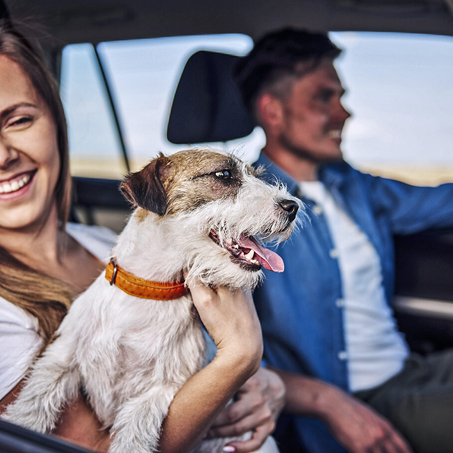 Happiness couple and their dog traveling together.