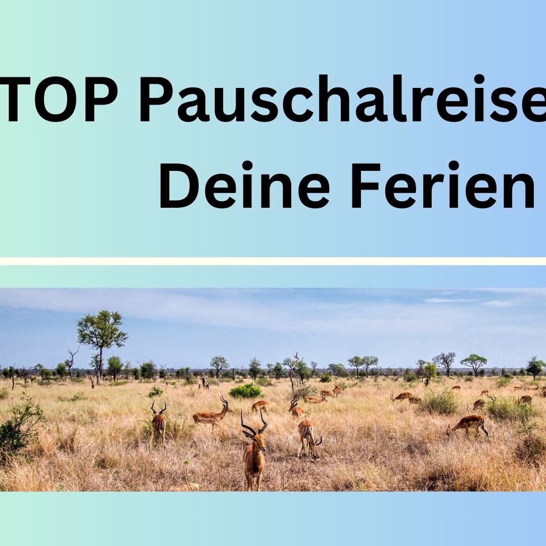 6_TOP_Pauschalreisen_für_Deine_Ferien