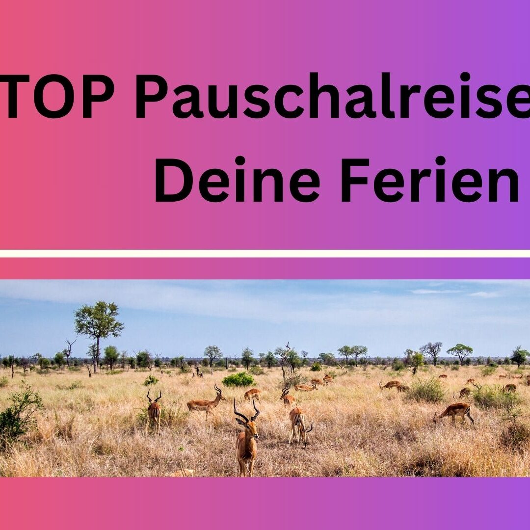 8_TOP_Pauschalreisen_für_Deine_Ferien