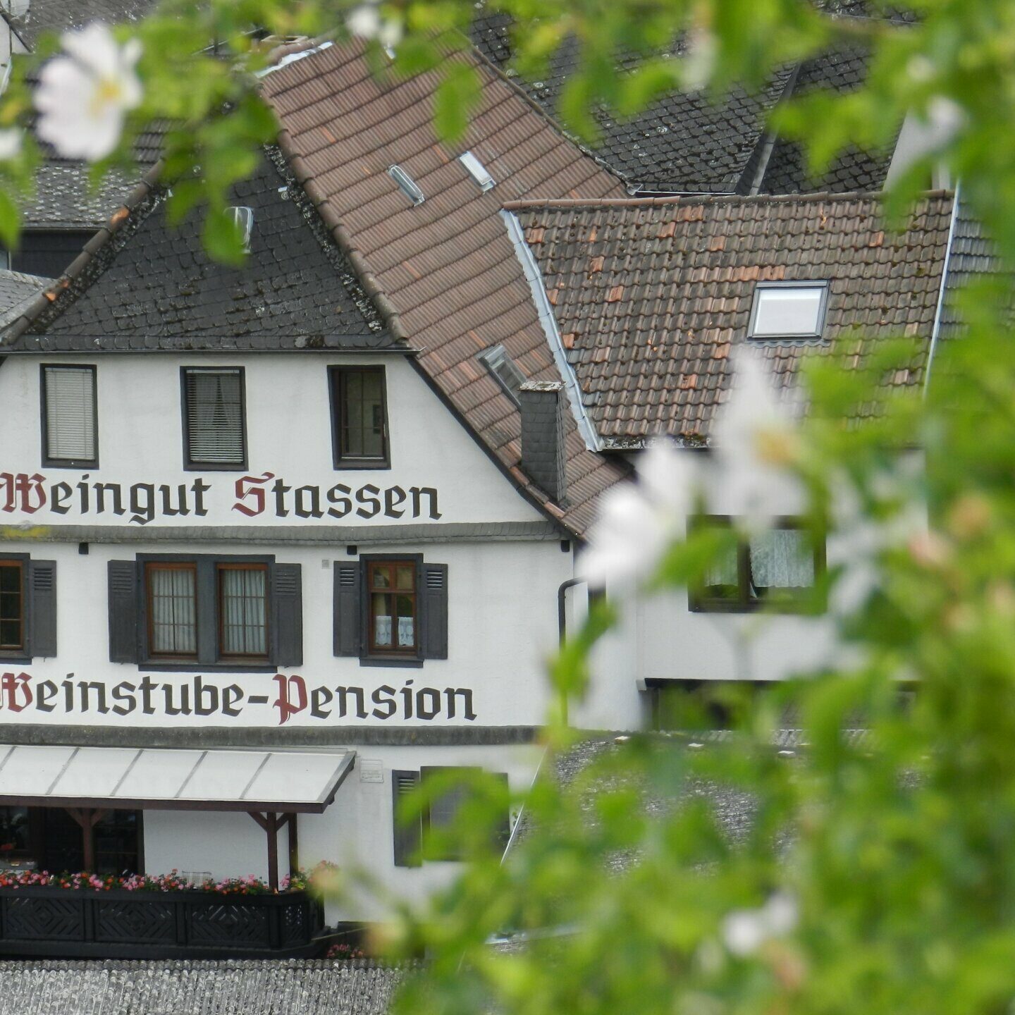 weingut-pia-stassen-hotel-aussenansicht-96763